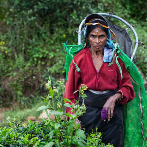 Progetto fotografico le madri di Ceylon di Francesca Guarnaschelli contadina