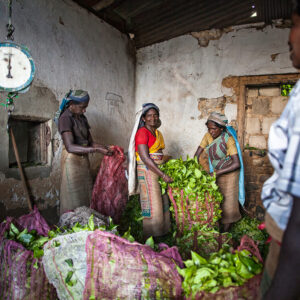 Progetto fotografico le madri di Ceylon di Francesca Guarnaschelli riparo